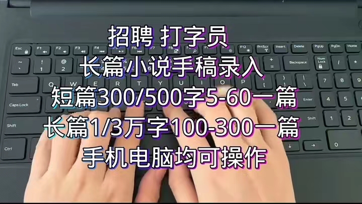 2025长期稳定副业，在家也能做的人打字任务