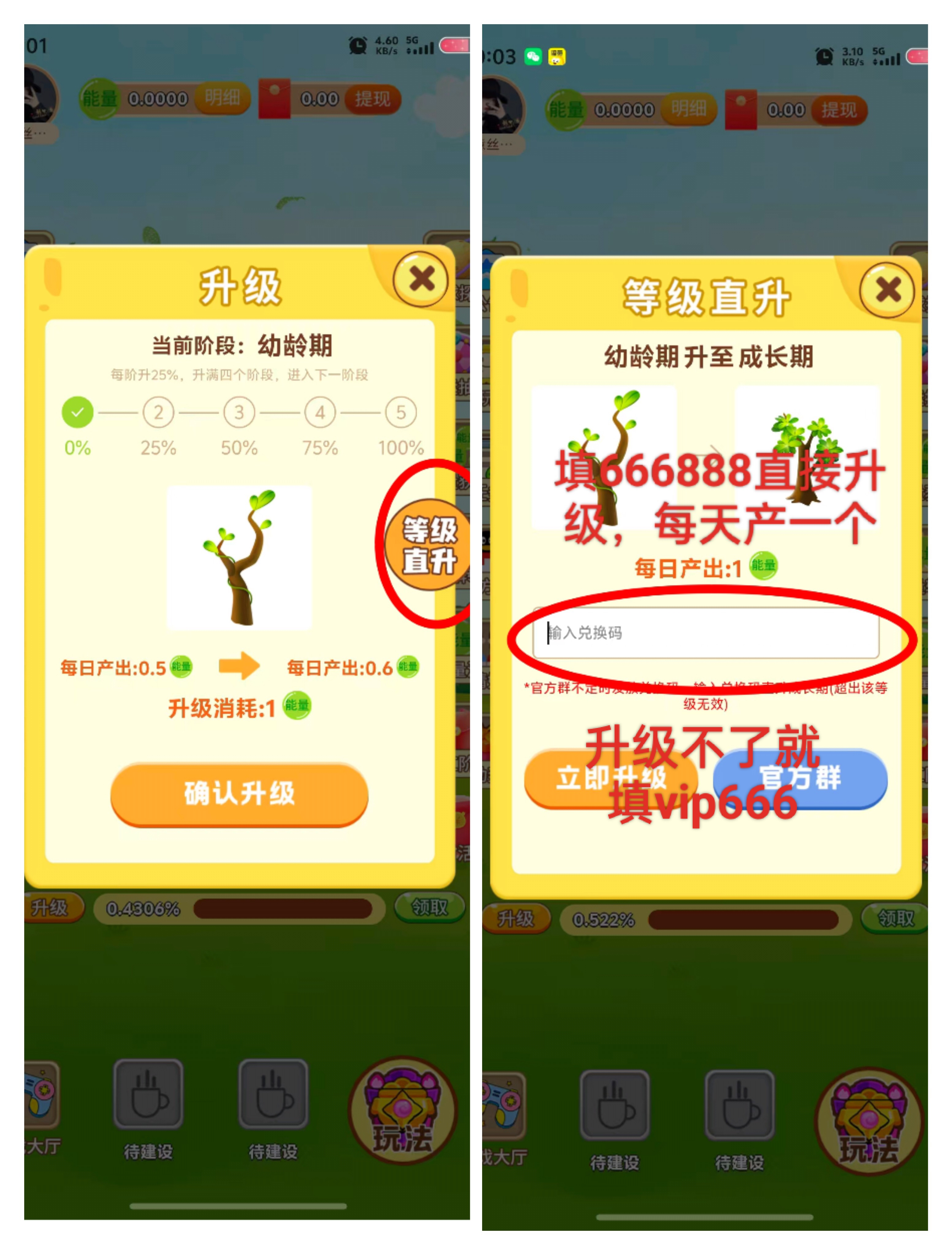 开心果树首码零撸，爬墙盘