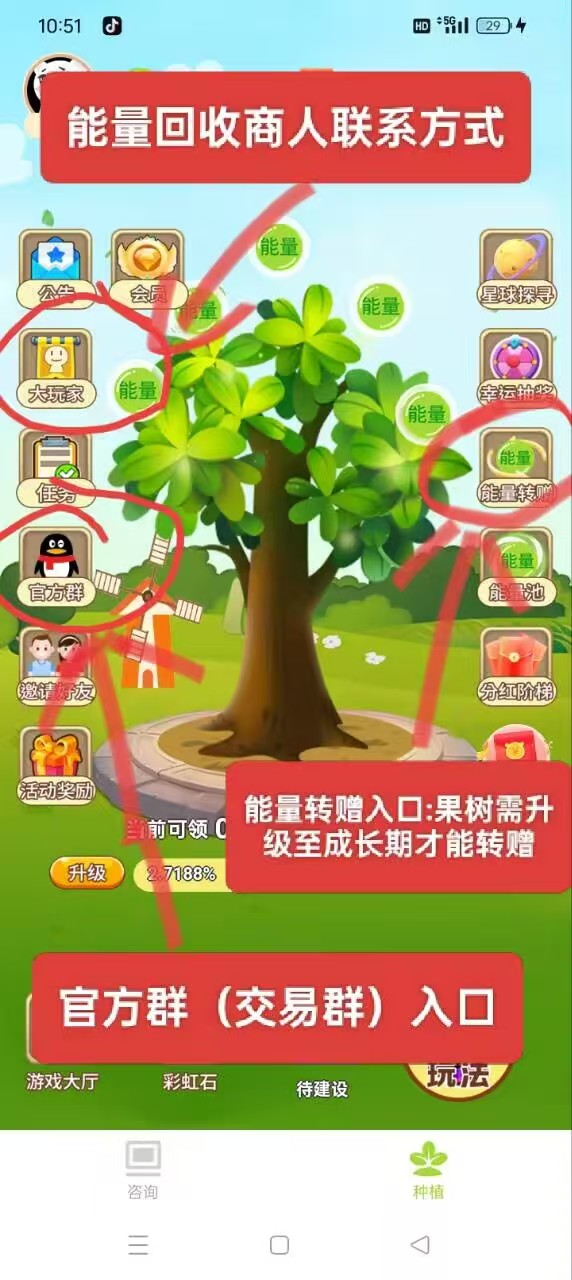 开心果树，无广告零撸