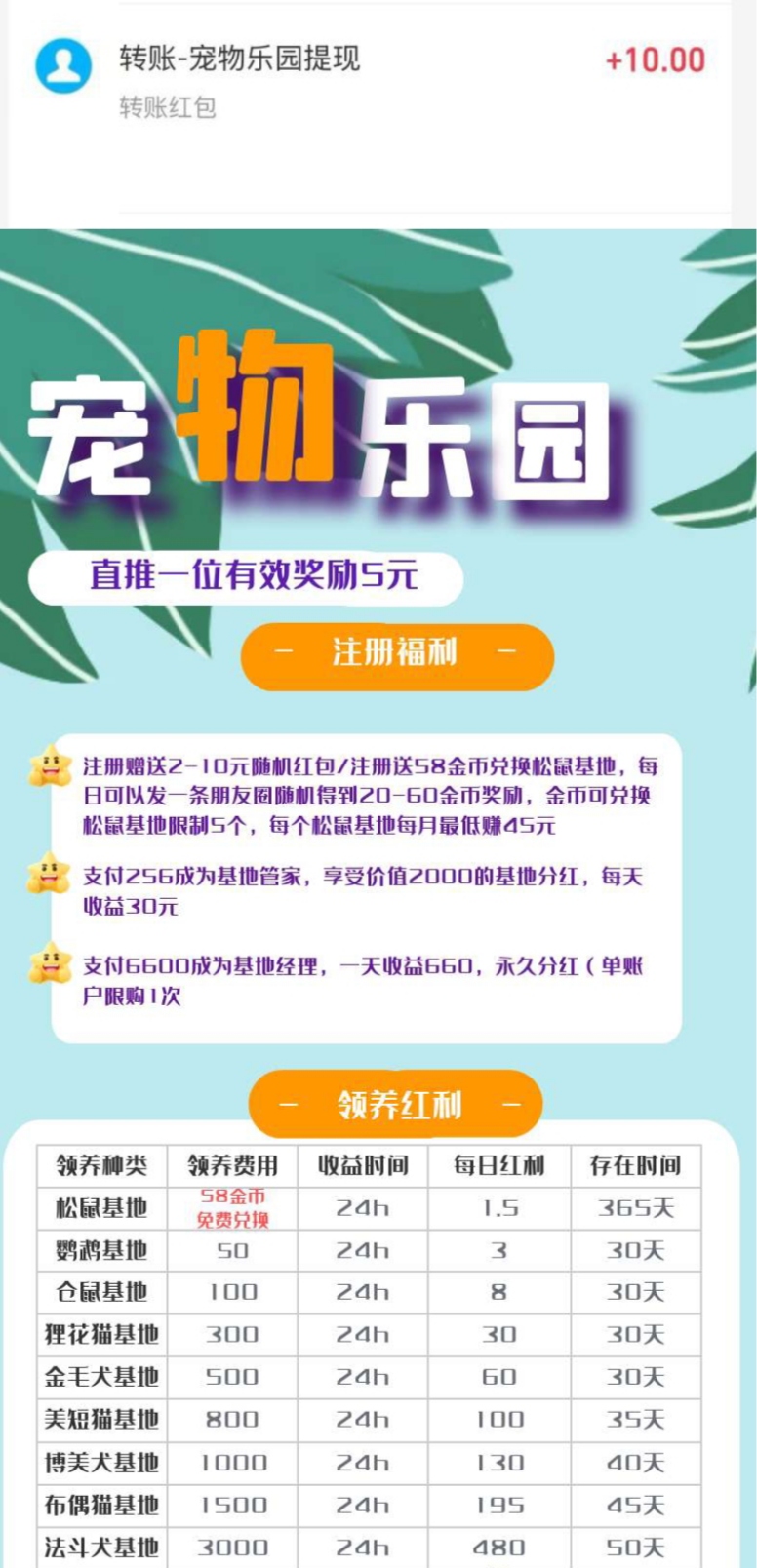 宠物乐园’致力于打造动物生态平台