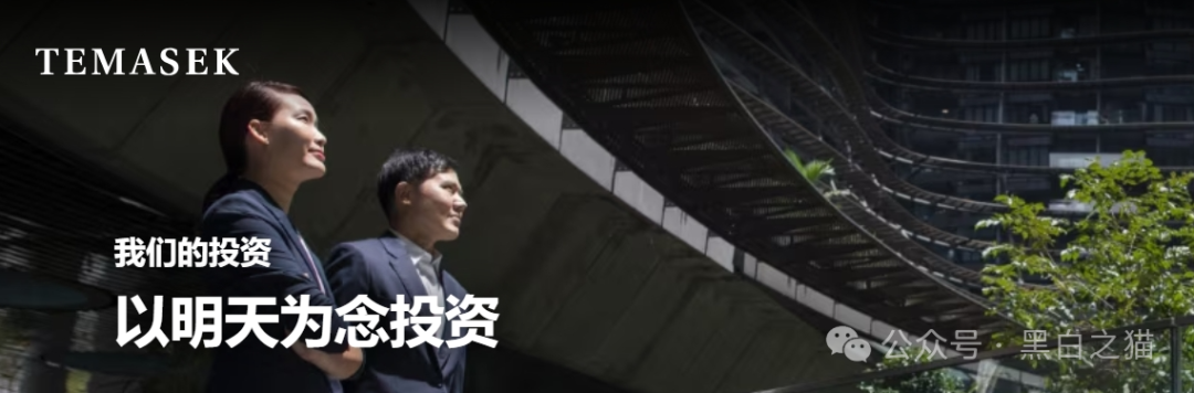 资金盘｜“淡马锡控股”遭诈骗碰瓷，新加坡官网设立警报提示......