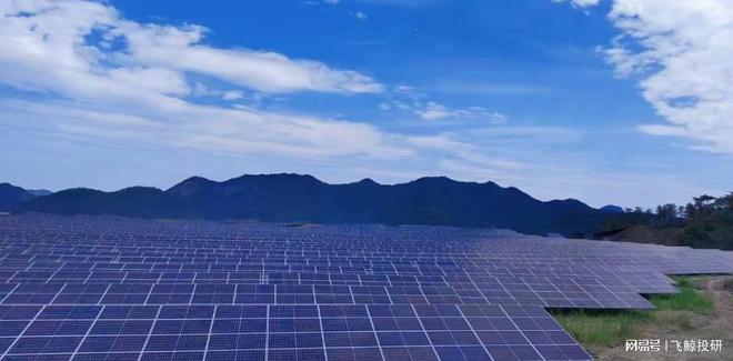 300001，新型电力系统浪潮下被低估的优质黑马