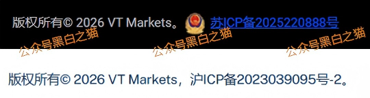 外汇盘｜境外“Vt Markets”遭仿冒，国内吸金不止，杀猪盘骗局又起......