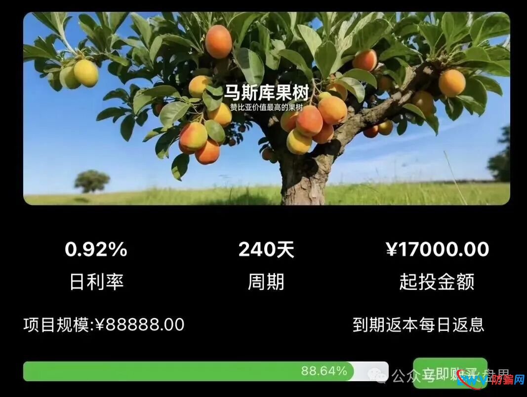 “华洋绿投”海外种果树资金盘骗局,专坑想赚快钱的普通人,随时崩盘跑路! “华洋绿投”海外种果树资金盘骗局,专坑想赚快钱的普通人,随时崩盘跑路!