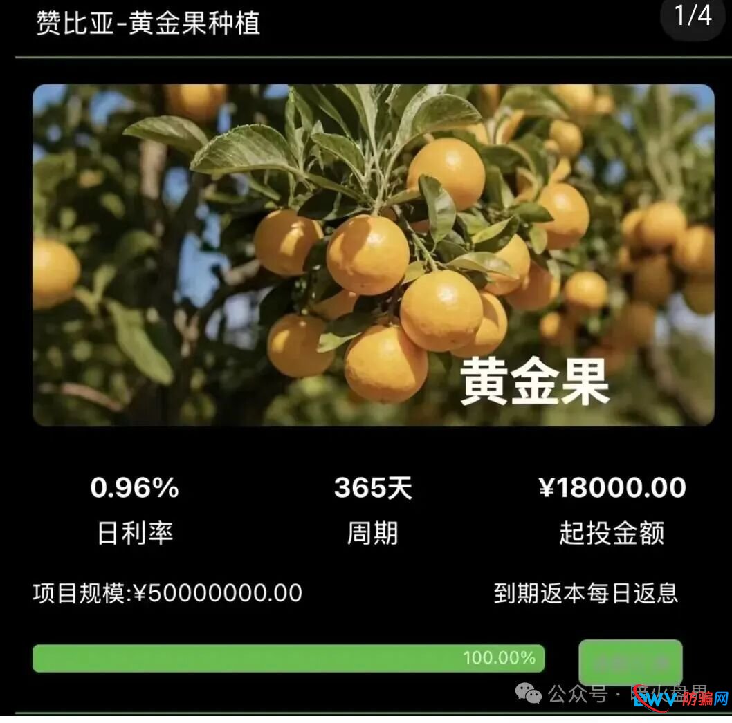 “华洋绿投”海外种果树资金盘骗局,专坑想赚快钱的普通人,随时崩盘跑路! “华洋绿投”海外种果树资金盘骗局,专坑想赚快钱的普通人,随时崩盘跑路!