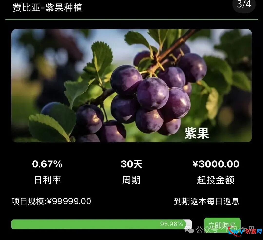 “华洋绿投”海外种果树资金盘骗局,专坑想赚快钱的普通人,随时崩盘跑路! “华洋绿投”海外种果树资金盘骗局,专坑想赚快钱的普通人,随时崩盘跑路!