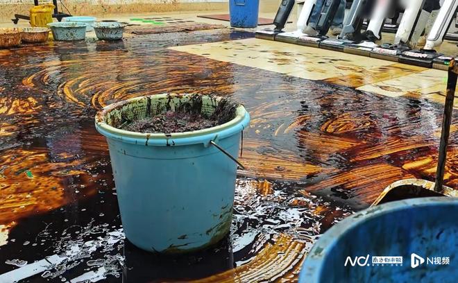 暴力测评卧底调查：记者应聘线下直播间，揭剧本幕后三大套路