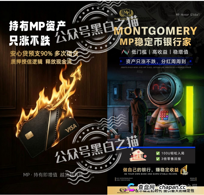 “MP蒙哥马利”项目暗藏玄机，巨大渔网洒向投资人(13)