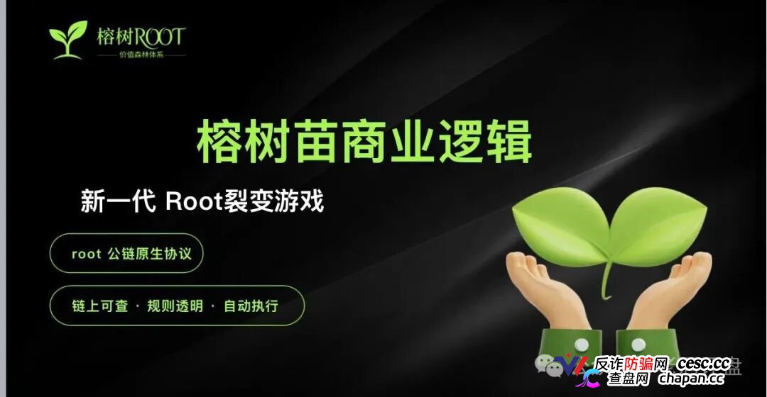 榕树ROOT用8160元树苗骗你拉人头！P5级别11天赚400万全是后台改的数据(1)