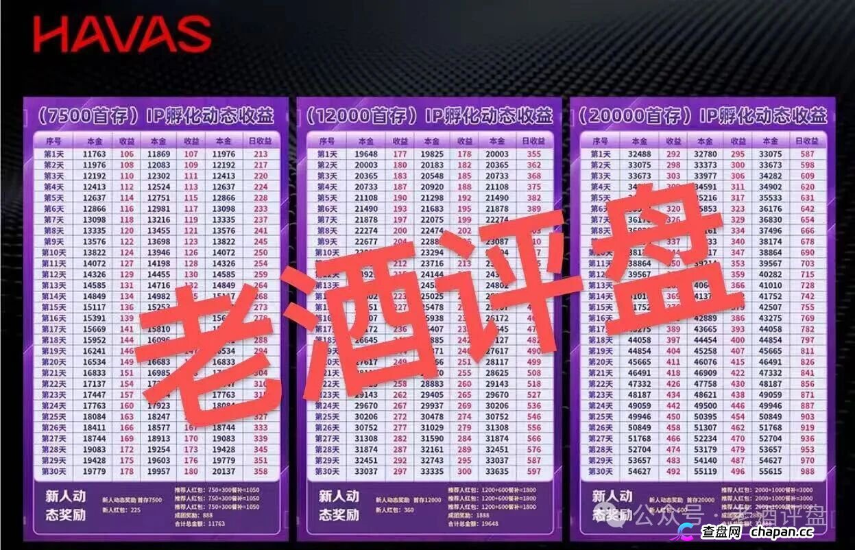 HAVAS汉威士和已跑路的树拍易购同一个团伙，结局早已注定(3)