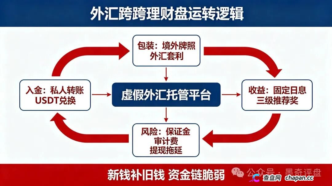 紧急预警！7月10个新开资金盘全曝光，千万别投！(2)