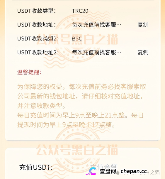 伪冒“德尔格”资金盘U充值，高额返利为诱饵继续诱骗，官媒发声请远离杀猪盘......(10)