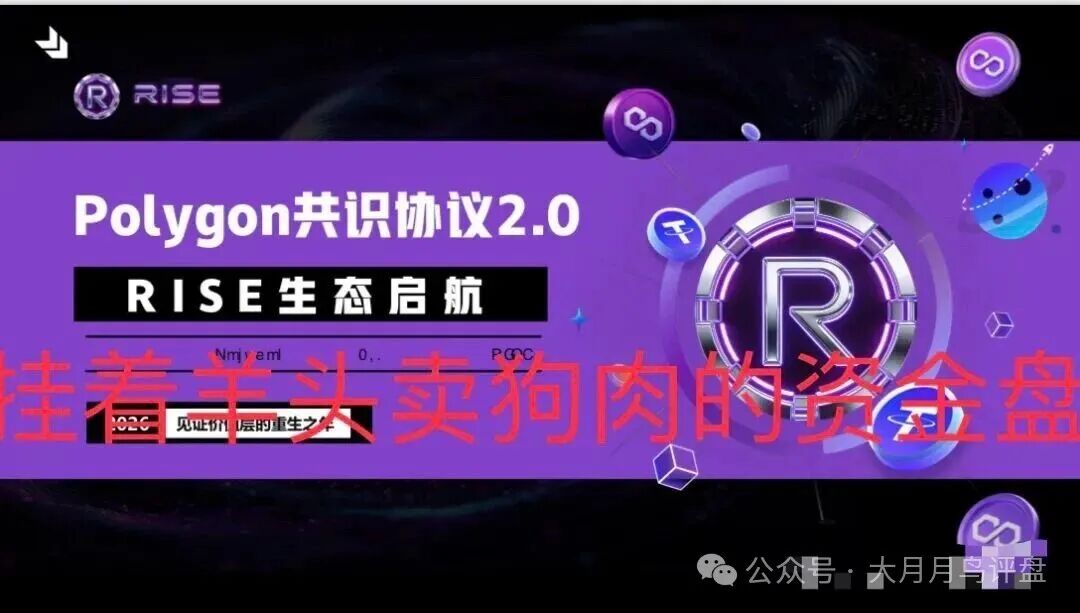 RISE冒充Polygon官方：拉布布仿盘泡沫到顶，9月5日崩盘预警(2)